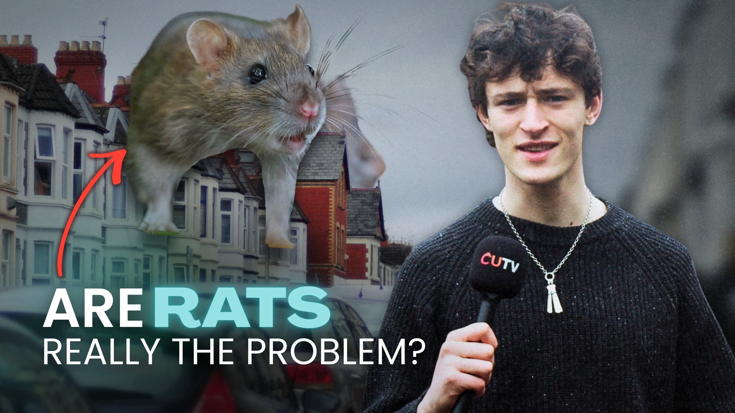 Rathays title card. Luca Stancheris holds a CUTV microphone beside a large brown rat composited over a Cardiff terraced street, under the words Are rats really the problem?